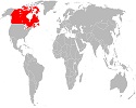 www.saberespractico.com