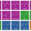 aminoácidos naturales