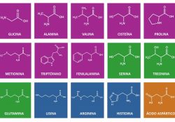 aminoácidos naturales