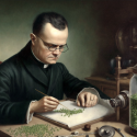 Las tres leyes de Mendel (resumidas con esquemas visuales)