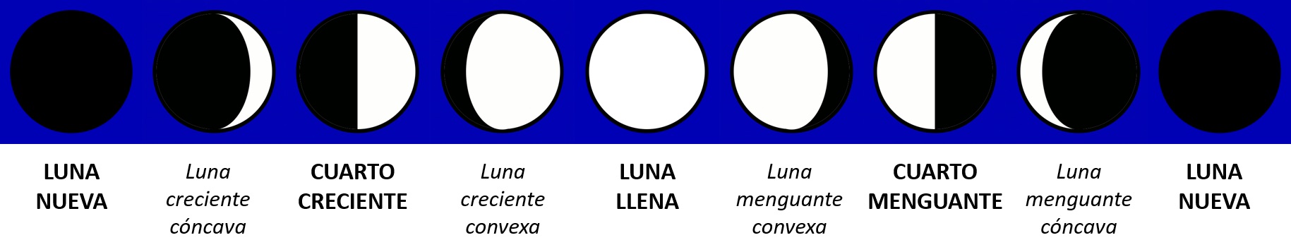 Fases de la Luna (con imágenes) - Saber es práctico