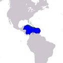 ¿Dónde está el mar Caribe? (con mapa)
