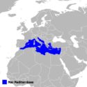 Mar Mediterráneo