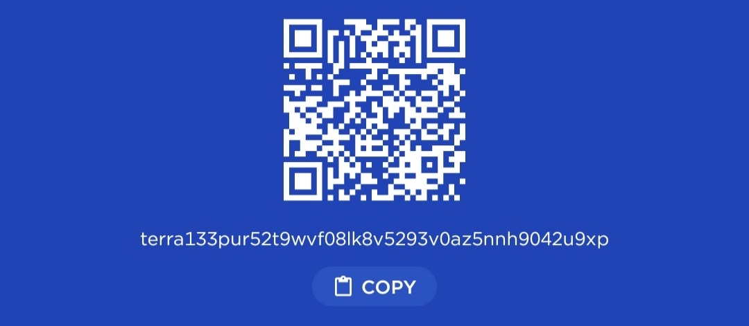Terra Station Wallet